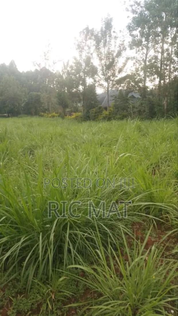 55x100ft Land Mosando Near Kisii Town - thumbnail 3