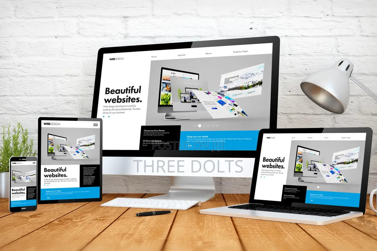 Websites for Professionals: Doctors, Lawyers Consultants