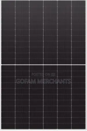 Longi 610w Hi-Mo 7 Lr8-66hgd-610m Sf Bifacial