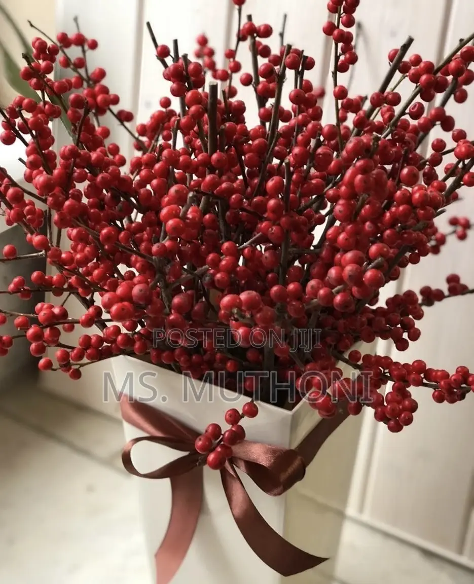 Set of 10 Branches Decorative / Christmas. Berry Branches