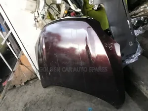 Vanguard Bonnet