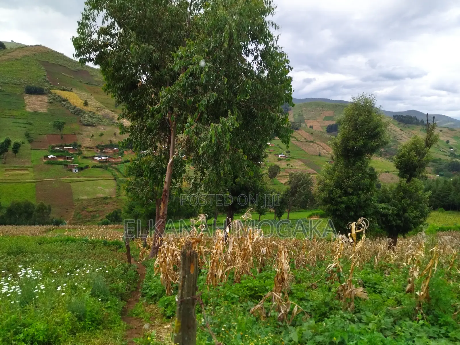 2-Acre Titled Fertile Land in Kiambogo (Nakuru) for Sale