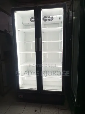 Double Door Fridge ( Well Maintained Good Working Condition)