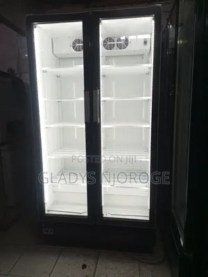 Double Door Fridge ( Well Maintained Good Working Condition)