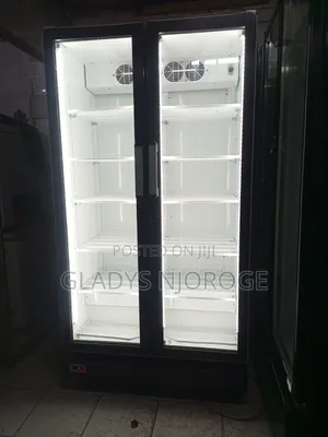 Double Door Fridge ( Well Maintained Good Working Condition)