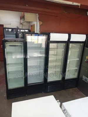 Most Affordable Chiller Different Size