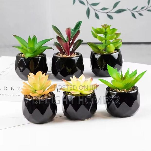 Artificial Succulent Bonsai Plants With Pottery Pot_cu