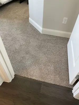 Royal Palace Plush Carpet – Premium Wall-to-Wall Luxury
