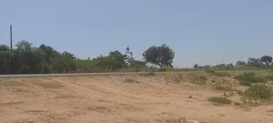 A Land for Settlement