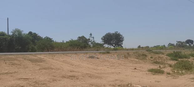 A Land for Settlement