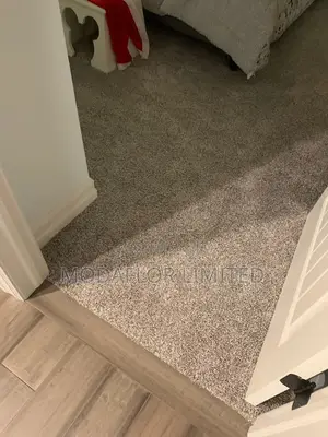 Vip Wall to Wall Carpet Where Comfort Meets Class