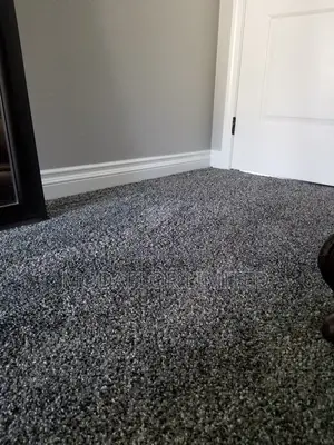 The Vip Wall to Wall Carpet ,Ultimate Carpet Installation Experience”