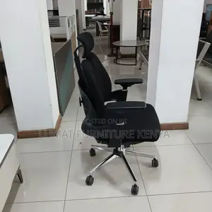 Spinecare Orthopedic Mesh Chair