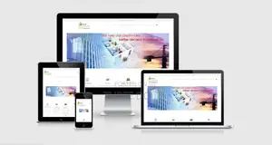 For Busy Founders: Get a Professional Website Without the Hassle
