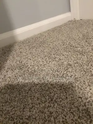 Vip Wall-to-Wall Carpet –Confortable Gentle