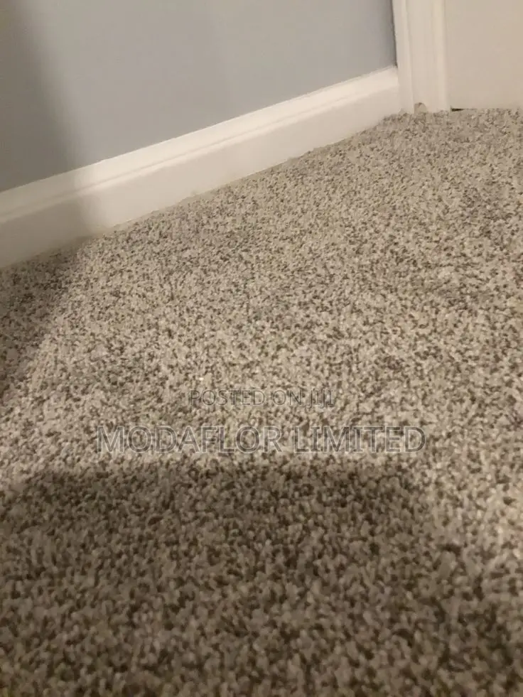 Vip Wall-to-Wall Carpet –Confortable Gentle