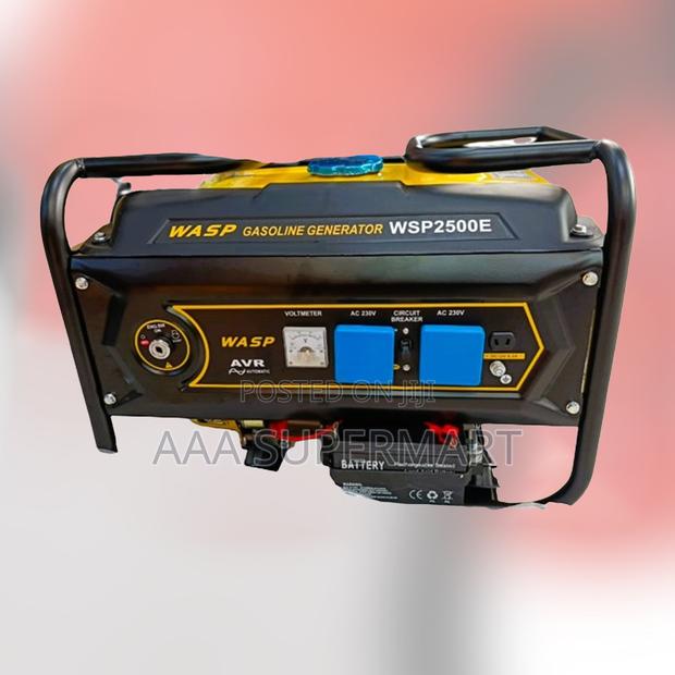 Wsp 2500e - 2.2kva 4 Stroke Ohv / Electric / Recoil