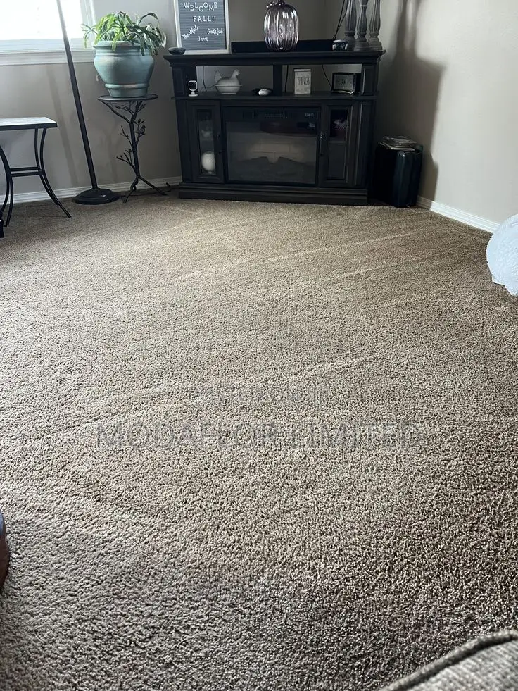 Designer Wall-to-Wall Carpet – Statement Flooring