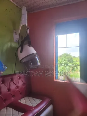 Mounted Hair Drier