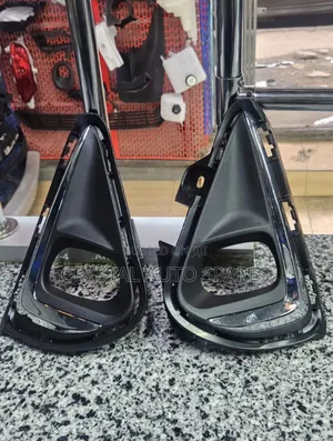 Toyota Fielder / Axio Fog Light Cover