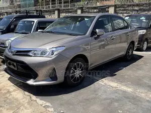 Toyota Axio 1.5 G 2WD 2019 Gold
