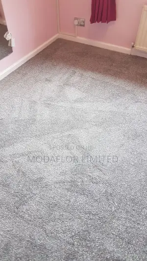 Serenity Wall-to-Wall Carpet – Calm Peaceful Vibe