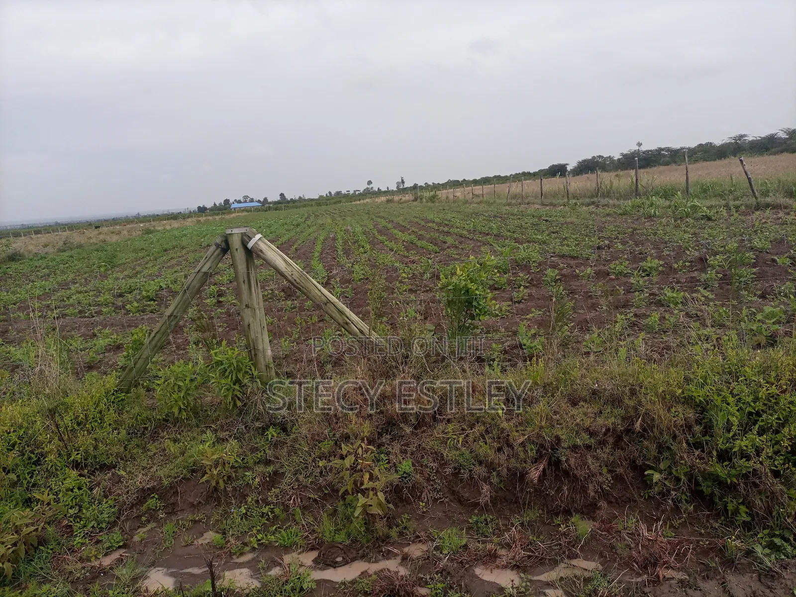 2 Acres Parcel of Free Hold Title