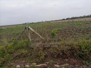 2 Acres Parcel of Free Hold Title - main view