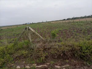 2 Acres Parcel of Free Hold Title