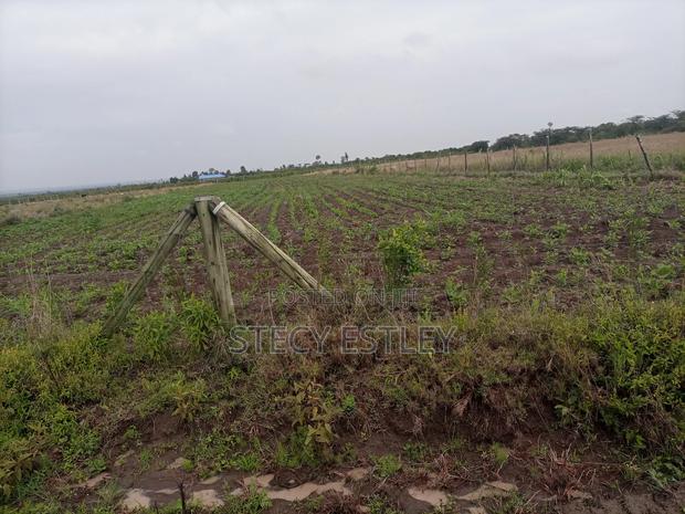 2 Acres Parcel of Free Hold Title