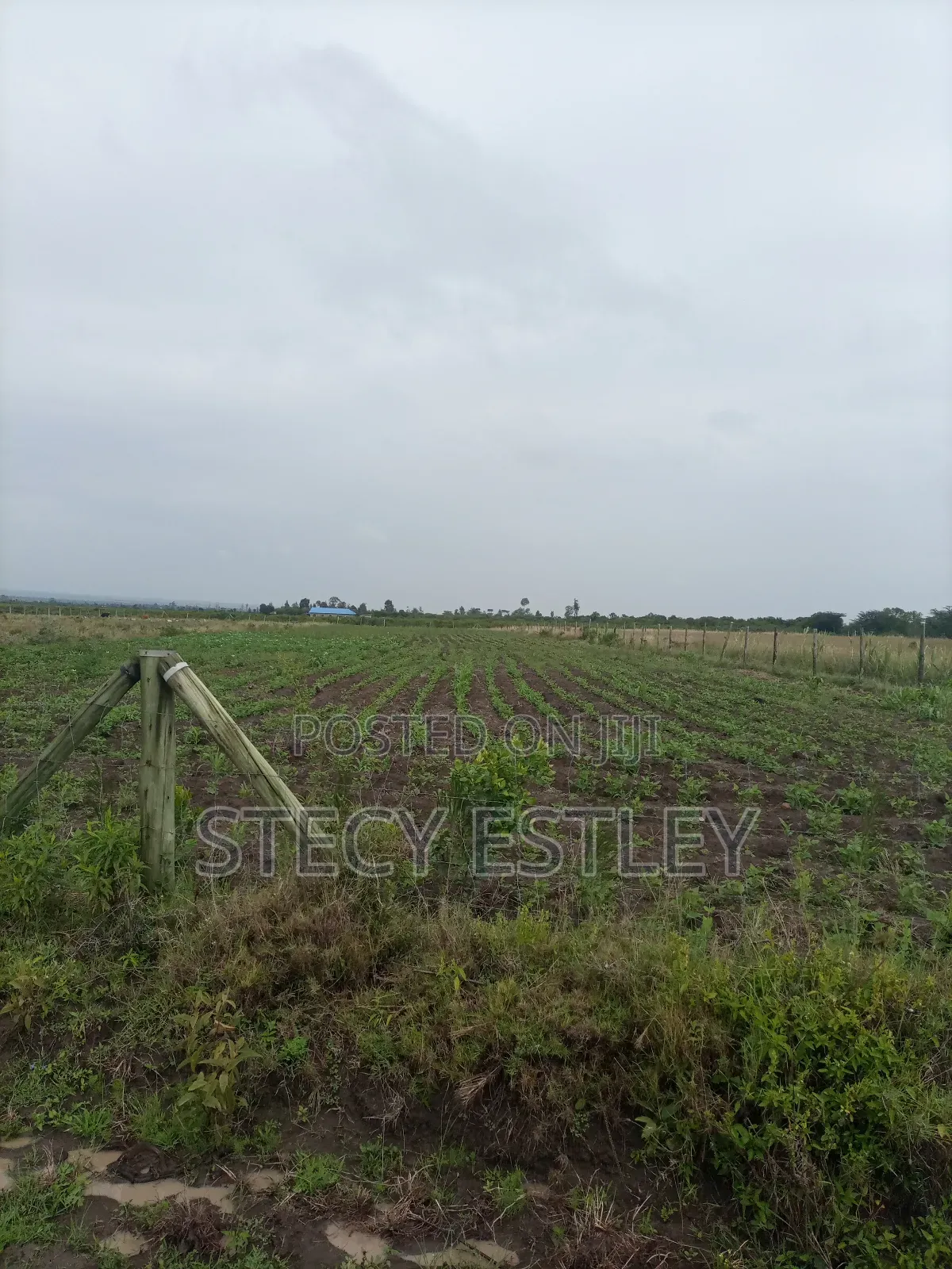 2 Acres Parcel of Free Hold Title