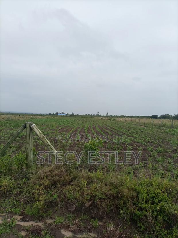 2 Acres Parcel of Free Hold Title - thumbnail 2