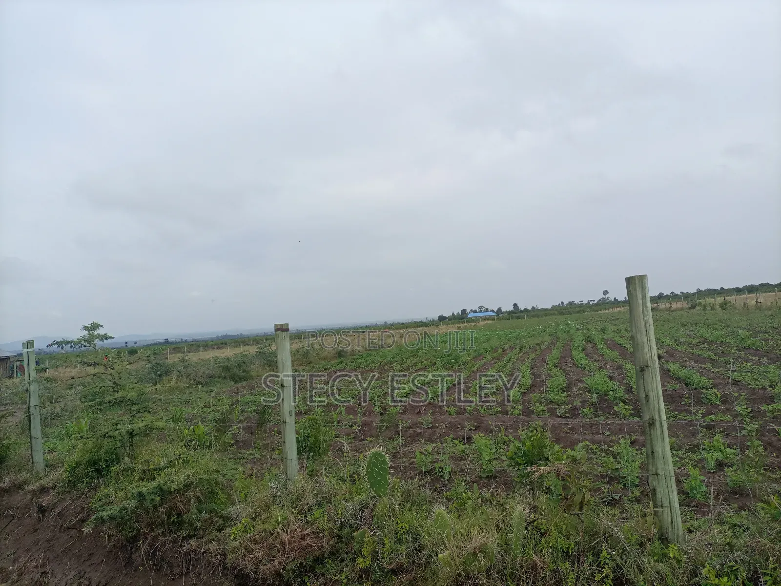 2 Acres Parcel of Free Hold Title