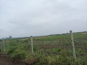 2 Acres Parcel of Free Hold Title