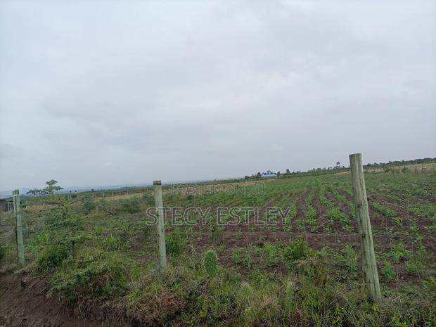 2 Acres Parcel of Free Hold Title - thumbnail 3