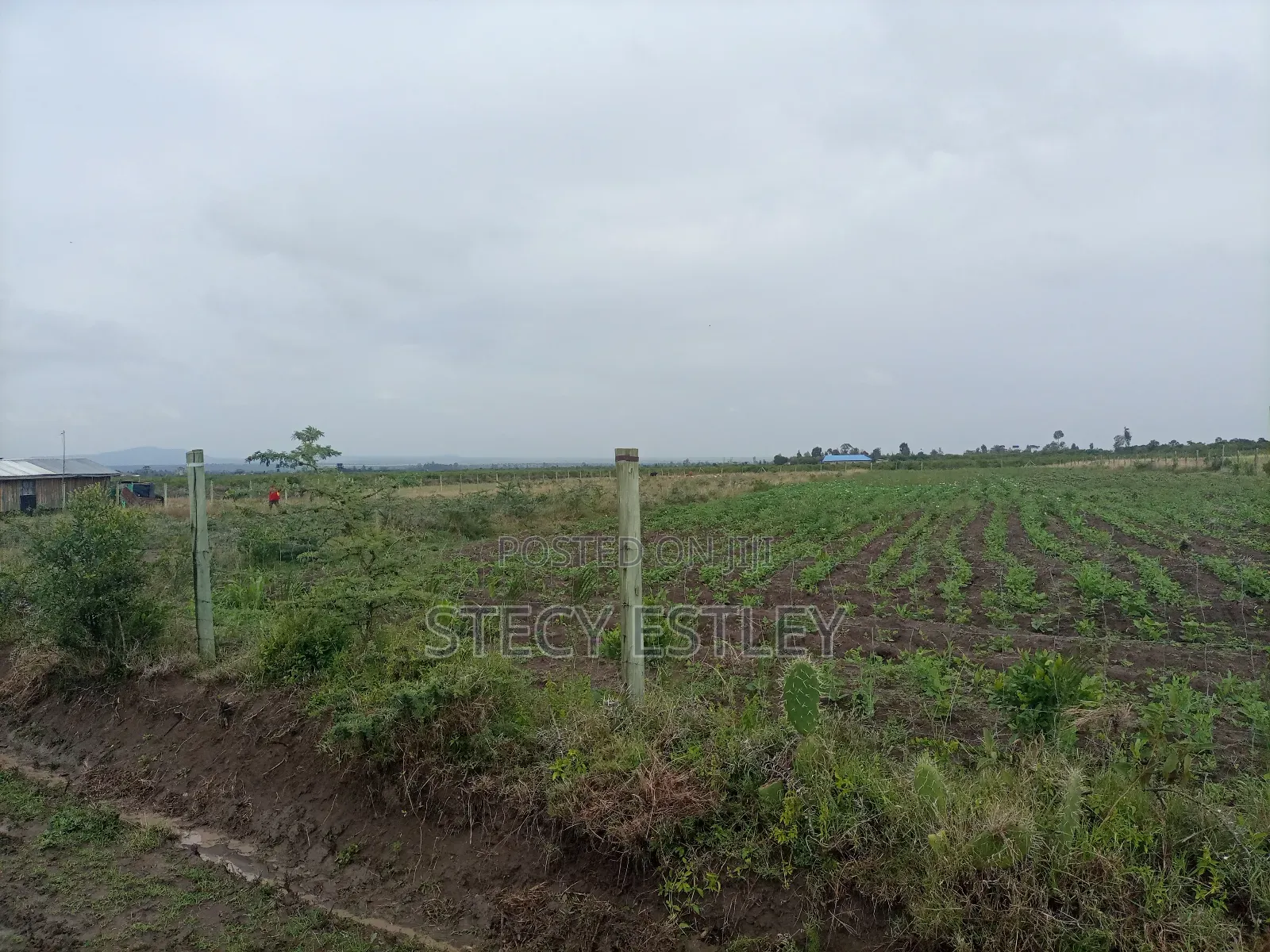 2 Acres Parcel of Free Hold Title