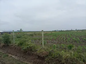 2 Acres Parcel of Free Hold Title