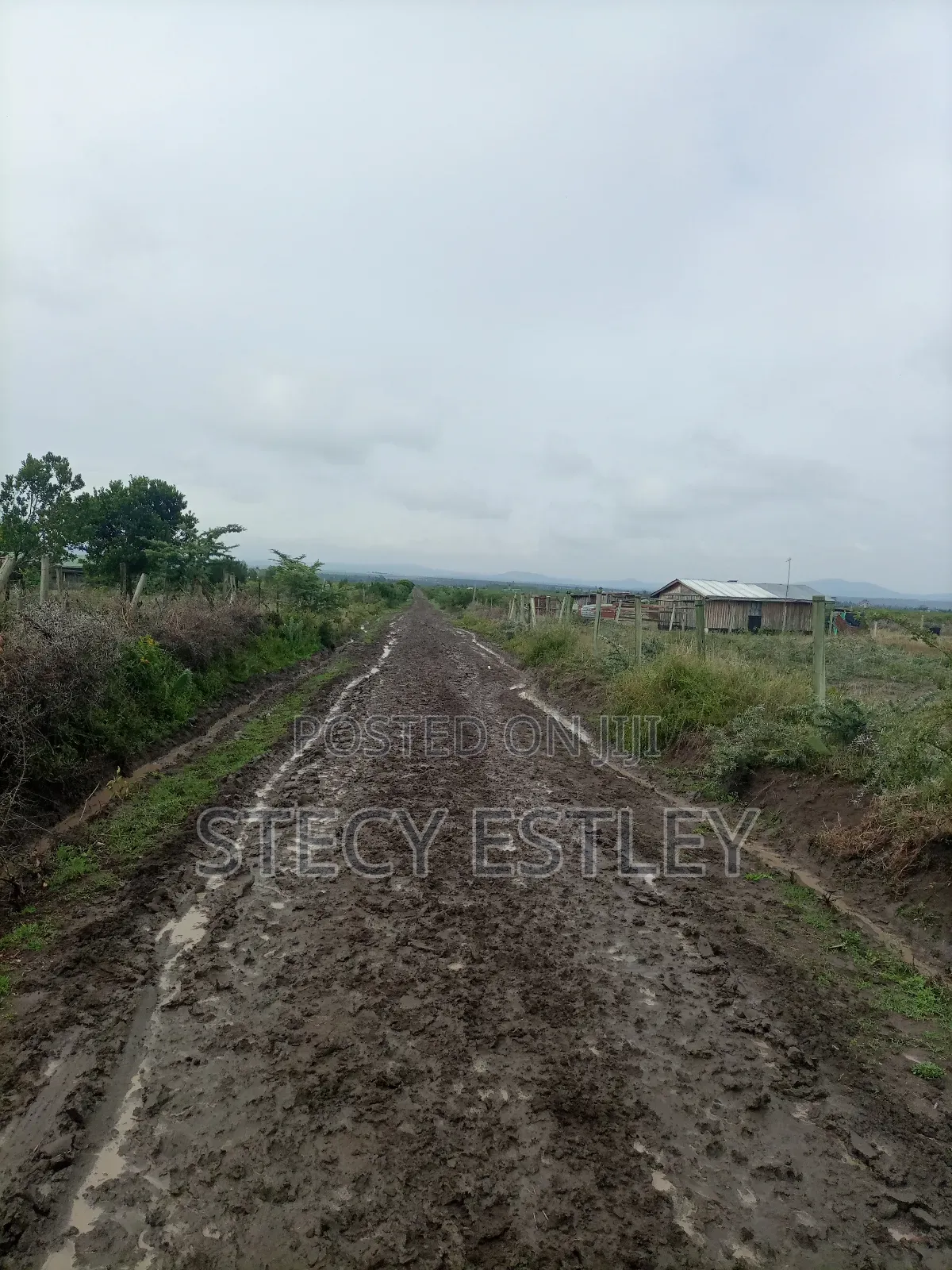 2 Acres Parcel of Free Hold Title