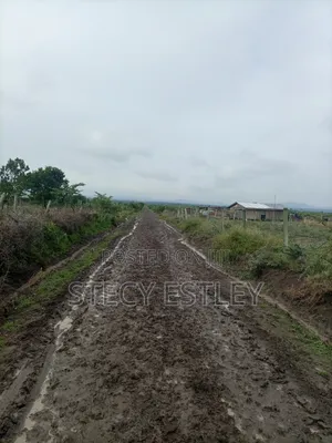 2 Acres Parcel of Free Hold Title