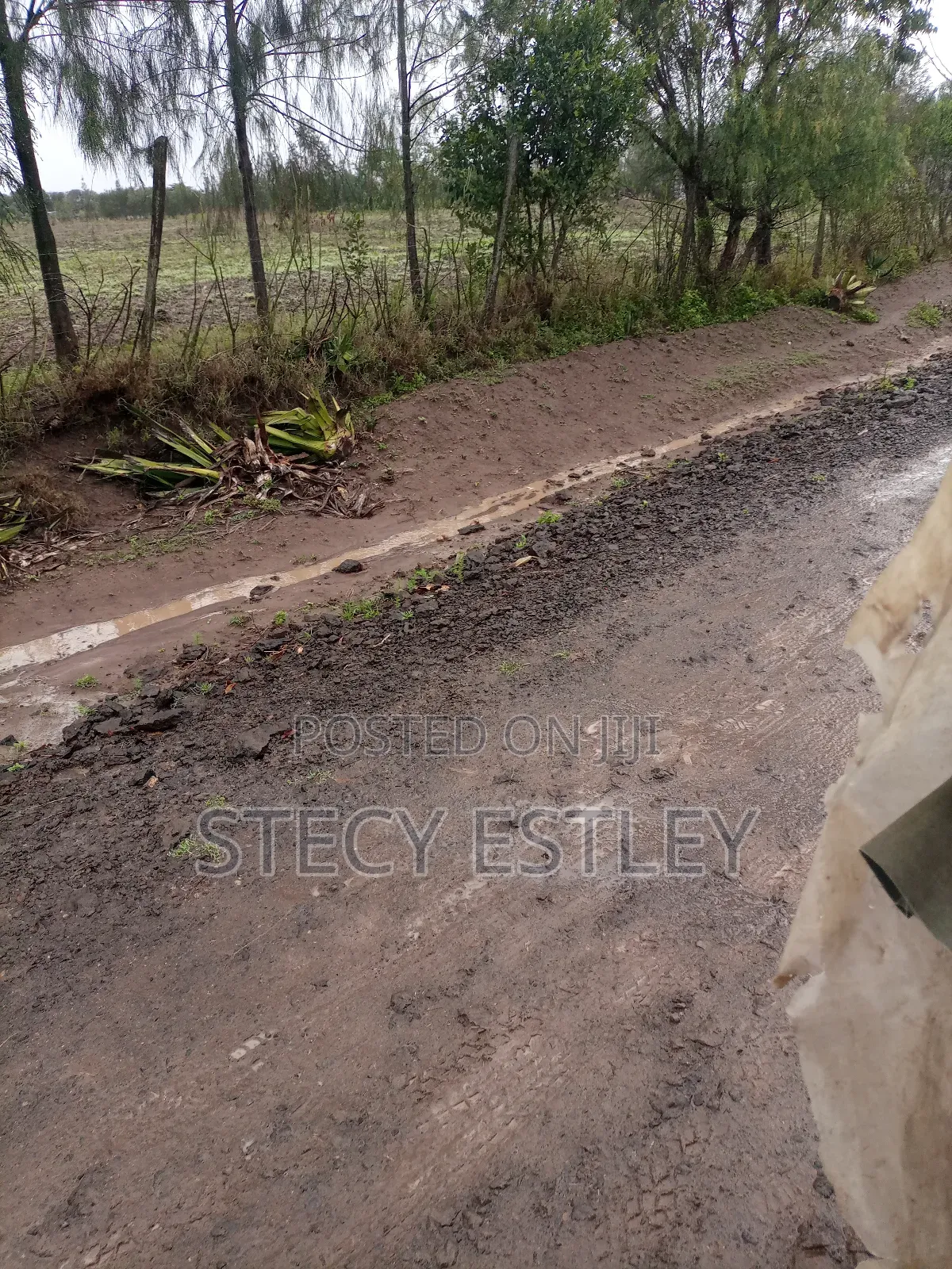 2 Acres Parcel of Free Hold Title