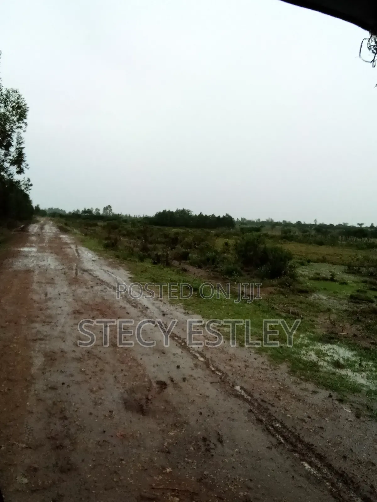 2 Acres Parcel of Free Hold Title