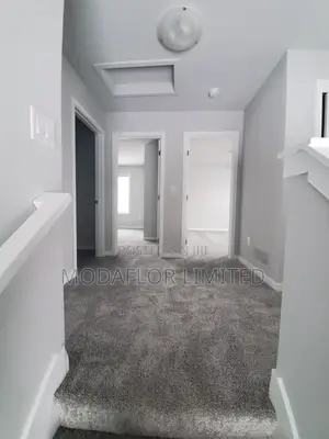 Wall-to-Wall Vip Carpet – Elite Office Flooring