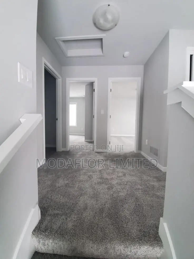 Wall-to-Wall Vip Carpet – Elite Office Flooring