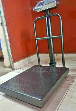 300kgs Weighing Scale/Platform Weighing Scale Digital