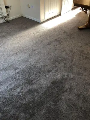 Wall-to-Wall Vip Comfort Carpet – Soft Cozy