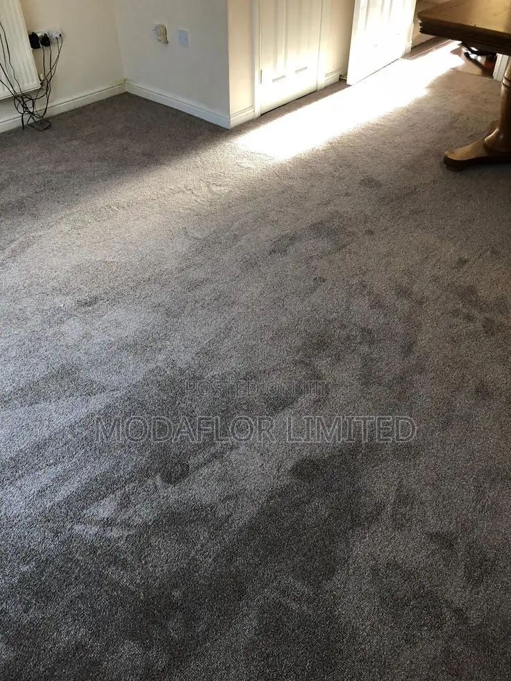 Wall-to-Wall Vip Comfort Carpet – Soft Cozy
