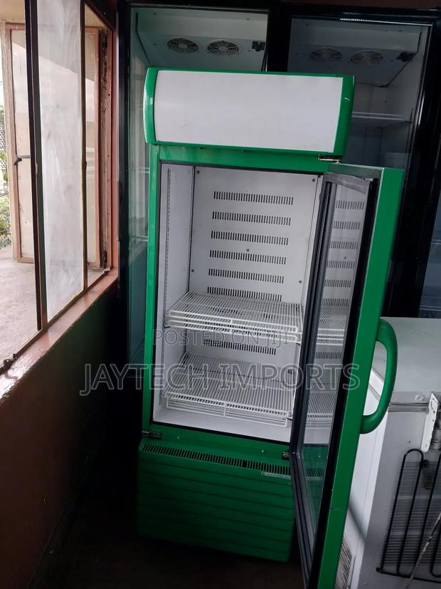 Clean Green Display Fridge