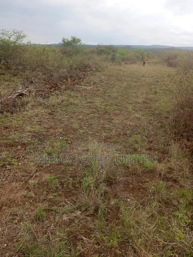 An Acre at