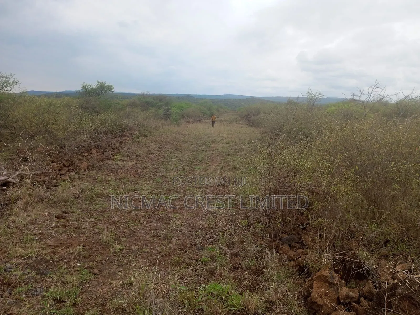An Acre at