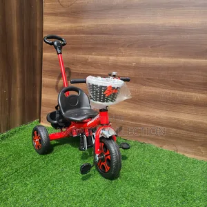 Push. Tricycle. With Safety Belt.
